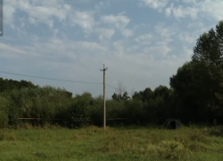 Тамбовчане выступают против строительства дома в Ахлебиновской роще