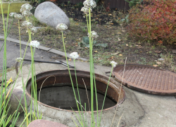 174 канализационных люка пропали в Тамбове с начала года