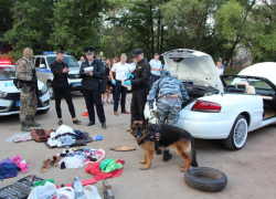 В Тамбове полиция задержала молодёжь на дорогих кабриолетах в балаклавах с автоматами