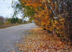 Синоптики предупреждают о минусовых температурах в начале недели