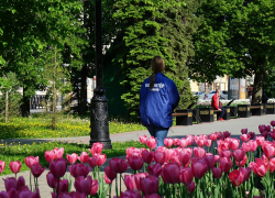 Больше 67 тысяч тамбовчан выбрали дизайн-проект будущего благоустройства в Тамбовской области