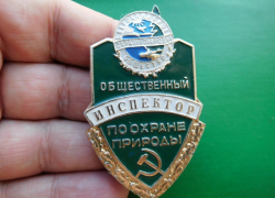 Общественные природинспекторы выйдут на охрану окружающей среды в Тамбовской области