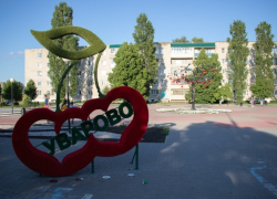 Тамбовчанам предложили придумать название новым сортам уваровской вишни