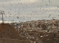 На «КомЭке» заговорили о запуске онлайн-трансляции после скандала с отключением видеофиксации обработки ТКО