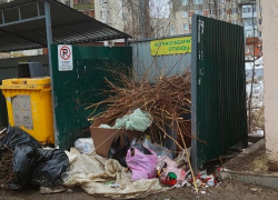 Тамбовчанам напоминают о правилах и ответственности при утилизации растительных отходов 