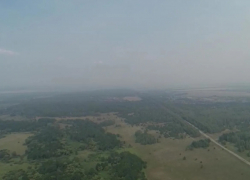 Тамбов накрыло смогом из-за лесных пожаров в Рязанской области