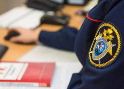 Следователи начали проверку по факту гибели двух мужчин в пожаре в Раде