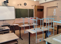 Тамбовских школьников из-за гриппа и ОРВИ переводят на дистанционное обучение