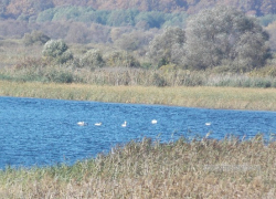 В Воронинском заповеднике ввели плату за вход для туристов