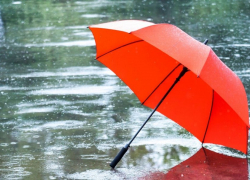 Погода в Тамбове: дождливая пятница и тёплые выходные