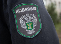 В одном из тамбовских детсадов дети ели мясо без соответствующих документов