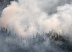 Новая Ляда задыхается в дыму от пожаров в Республике Мордовия