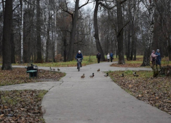 Тамбовские власти хотят сохранить первозданность при благоустройстве Ахлебиновской рощи