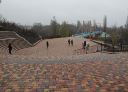 На спуске к Набережной в городском парке Тамбова высадят можжевельник и черную сосну