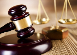 С администрации Тамбовского округа потребовали 100 тысяч рублей за укус ребёнка бездомной собакой