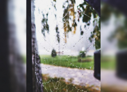 В ближайшие три дня в регионе ожидаются обильные осадки и ветер до 22 м/с