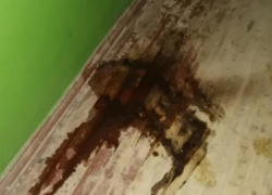 Соседи обнаружили избитого до полусмерти мужчину на лестнице многоэтажки в Тамбове