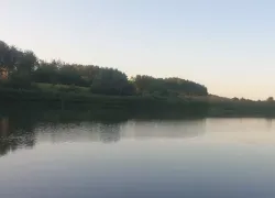 В пруду в Сосновском районе всплыл труп 41-летнего мужчины