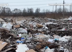 Под Тамбовом вновь заработала нелегальная свалка 