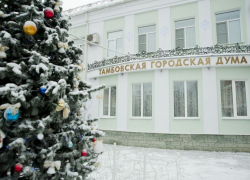 Тамбовская городская Дума собирает Молодёжный совет