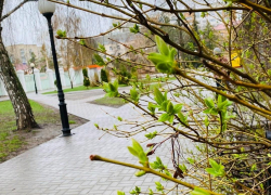 Тамбовчанам обещают тепло и небольшой дождь в пасхальные выходные