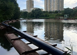 Прокуратура нашла нарушения в контракте на расчистку русла Цны