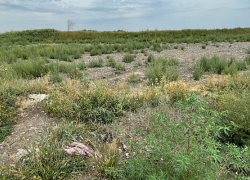 «СТИНЭК» оштрафован за нарушения при рекультивации полигона почти на миллион рублей 