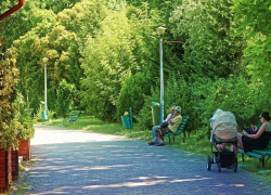 В Тамбове на Полынковской появится новый сквер