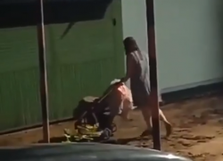 В Тамбове полиция проверяет видео с пьяной женщиной с детской коляской