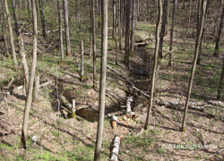 В Тамбовской области отыскали таинственную реку Галдым