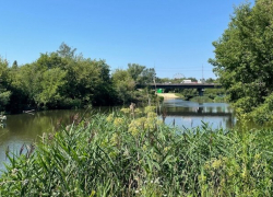 Региональное минэкологии объявило конкурс на расчистку участка Студенца