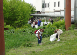 В Тамбове провели субботник на Студенце в рамках акции «Вода России»