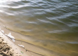 Роспотребнадзор не рекомендует купаться на двух пляжах Тамбова