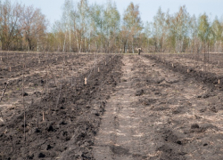 В регионе в течение года появятся ещё 7 новых садов