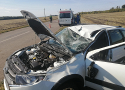 В ДТП в Тамбовском районе погиб 71-летний пенсионер