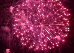 В День города нарушений общественного порядка не выявлено 