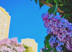 В Тамбове погода на этой неделе будет пасмурной и тёплой