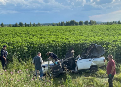 Возбуждено уголовное дело по факту ДТП с тремя погибшими в Мичуринском районе