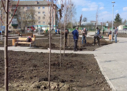 400 кустов бирючины и спиреи посадят в сквере на Полынковской в Тамбове