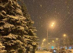 МЧС предупреждает тамбовчан о сильном ветре и метели 