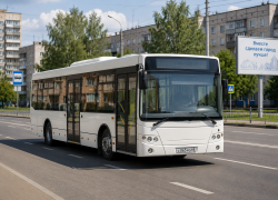 Тамбов получит 15 новых автобусов