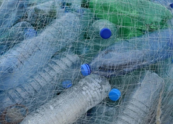 «Чистые игры»: в Тамбове на Бокинских прудах состоится экологический квест