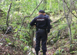 В Рассказовском лесу грибником обнаружен человеческий скелет