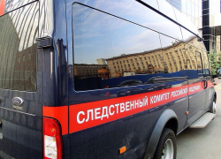 СК проведёт проверку администрации Тамбова по вопросу отлова собак