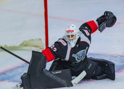 ХК «Тамбов» всухую обыграл «Молот» и продлил серию побед