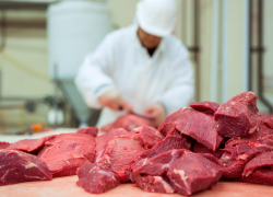 В Кирсановском районе нашли фантомную площадку по производству мяса