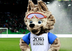 Пивоварни уже не те: FIFA подала жалобу на тамбовский паб 