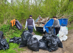Субботник экоактивистов на Студенце поддержала «Тамбовская сетевая компания»