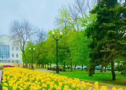 Прогноз погоды в Тамбове: солнечно и прохладно 