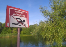 9 пляжей в Тамбове и области непригодны для купания